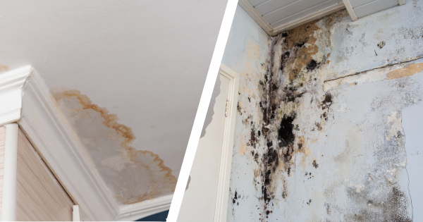 water damage vs mold