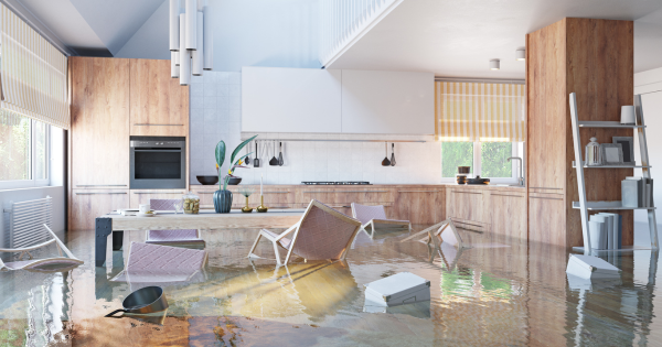 Water Mitigation and Restoration: The Essential Guide