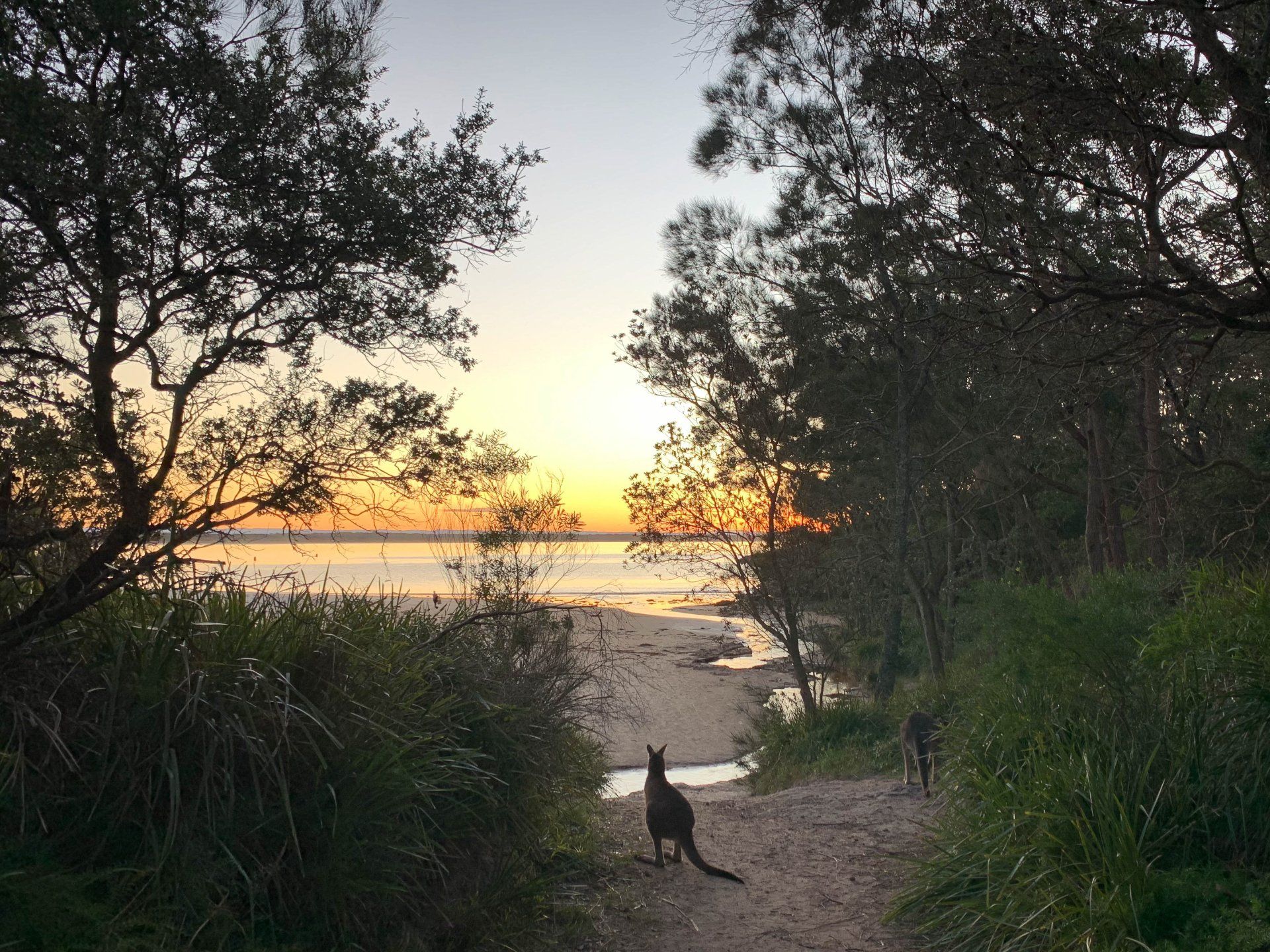 bundarwa beach house Currarong Beach NSW