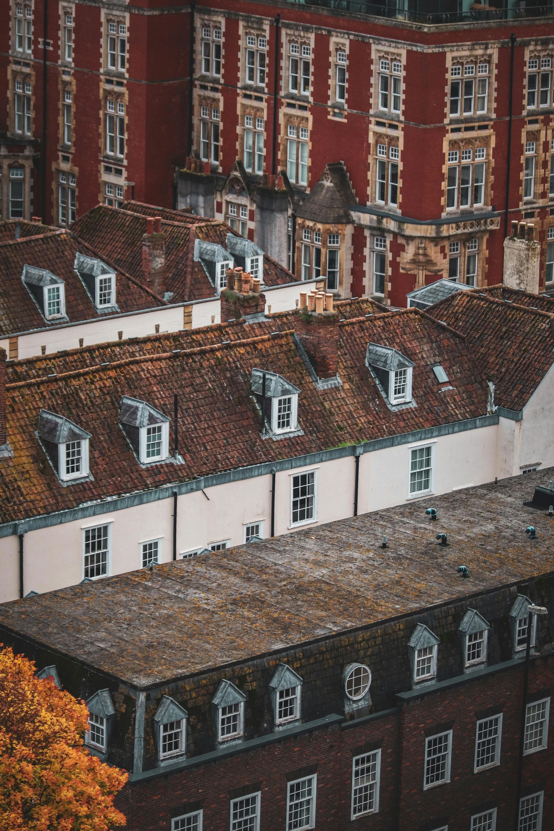 Black flat roof over white framed windows, under a brown tiled roof, with white gutter.