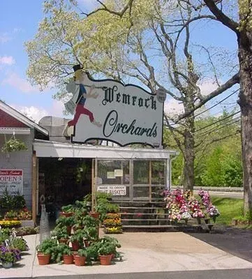 Wemrock Orchards sign above an open-air market building featuring potted plants and flowers for sale on a sunny day.