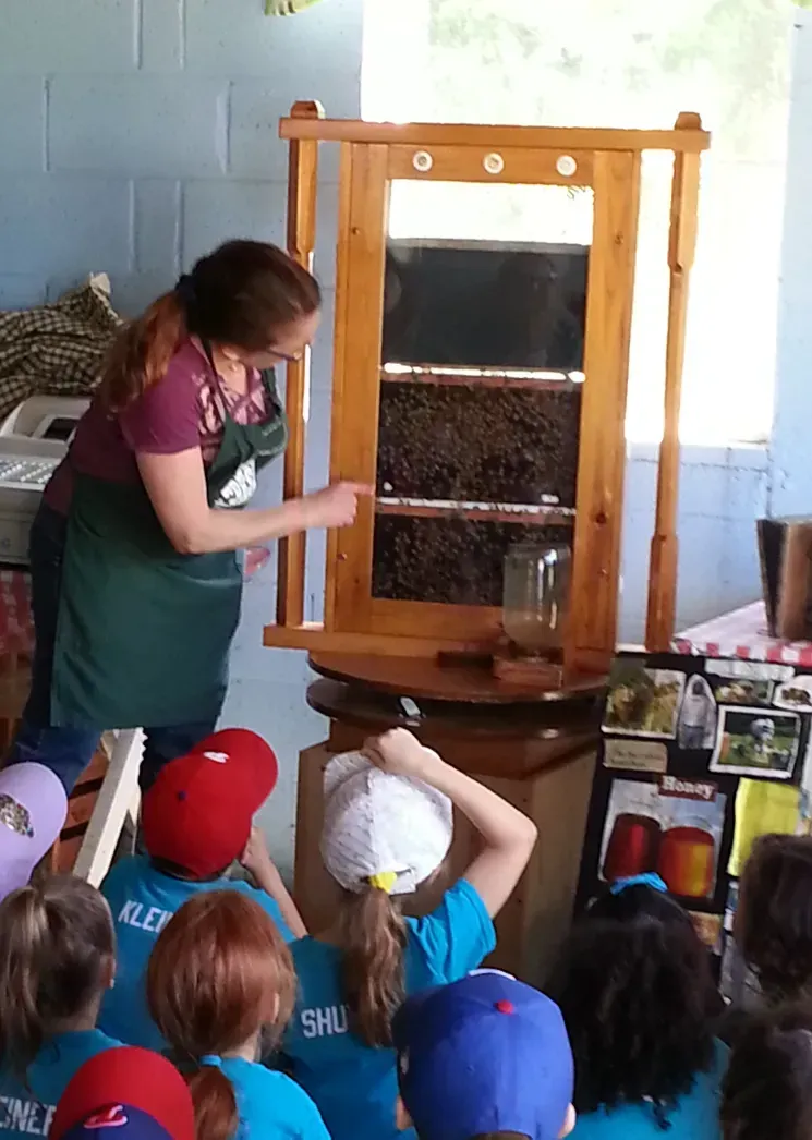 A person wearing a green apron points to an observation beehive displayed for a group of children sitting in a classroom.