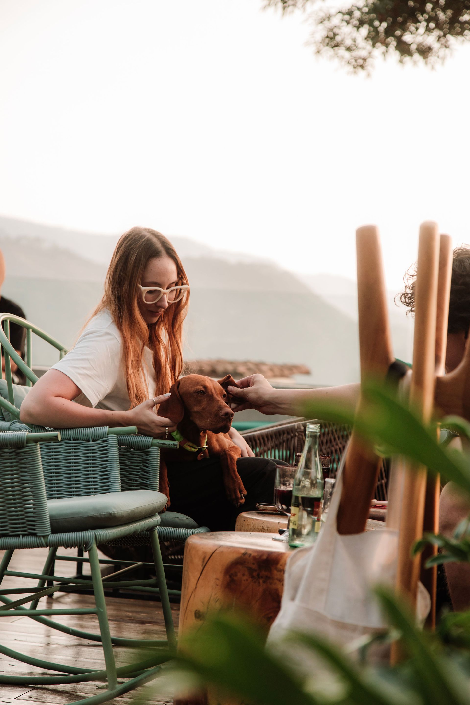 Cinco es un hotel Pet Friendly en Valle de Bravo