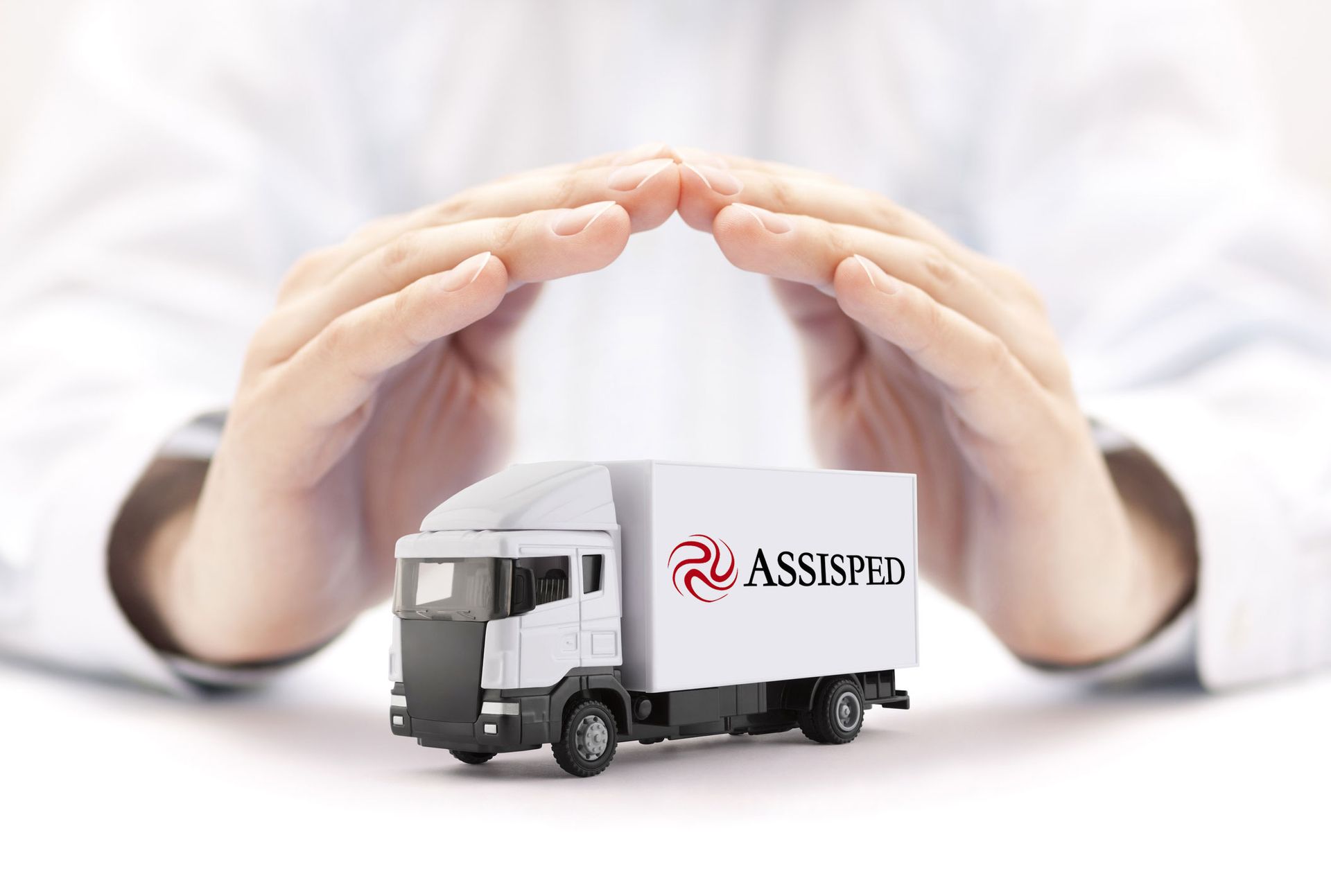 Spedizioni, Logistica, Trasporti internazionali | ASSISPED