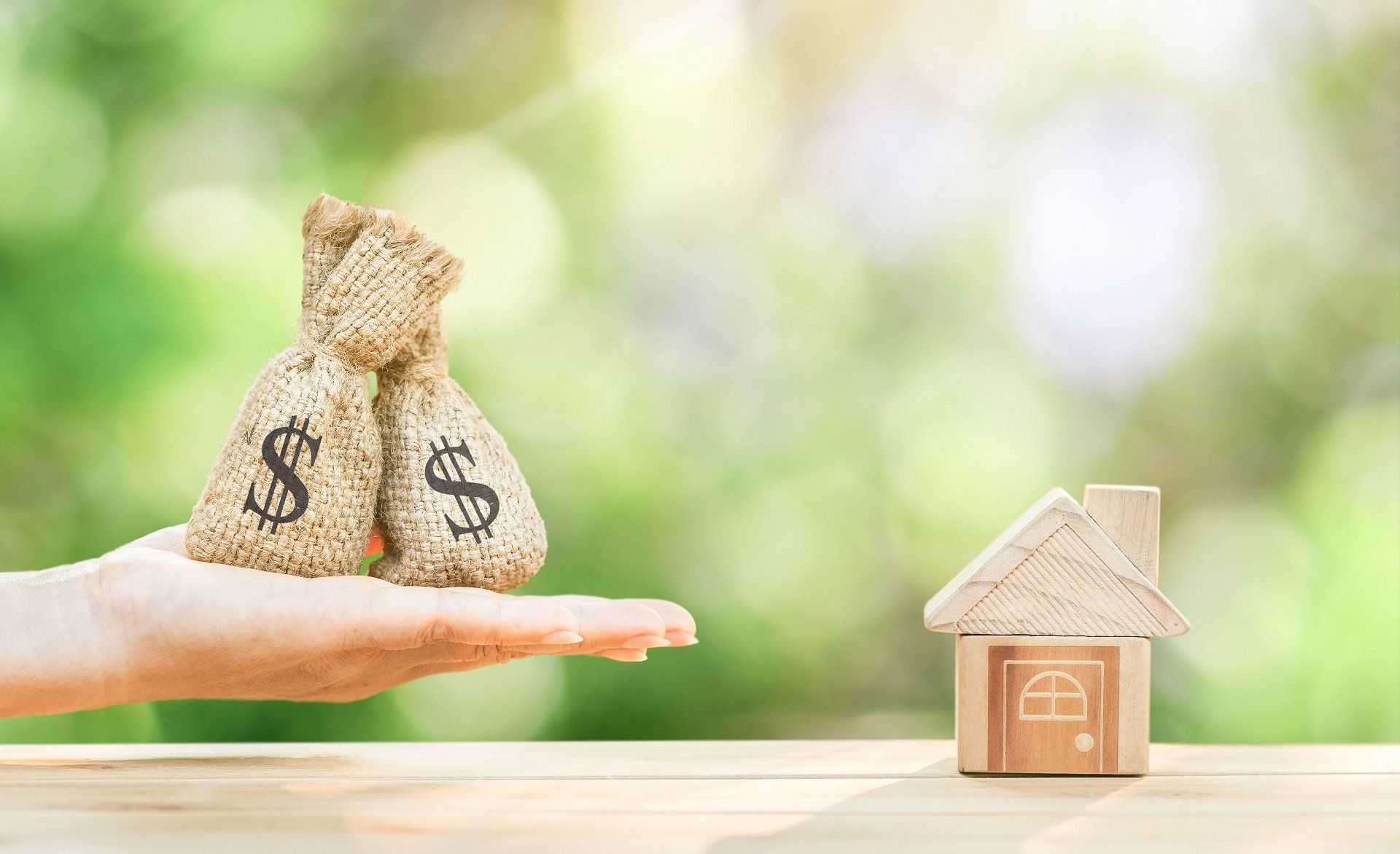 domestic asset protection trust