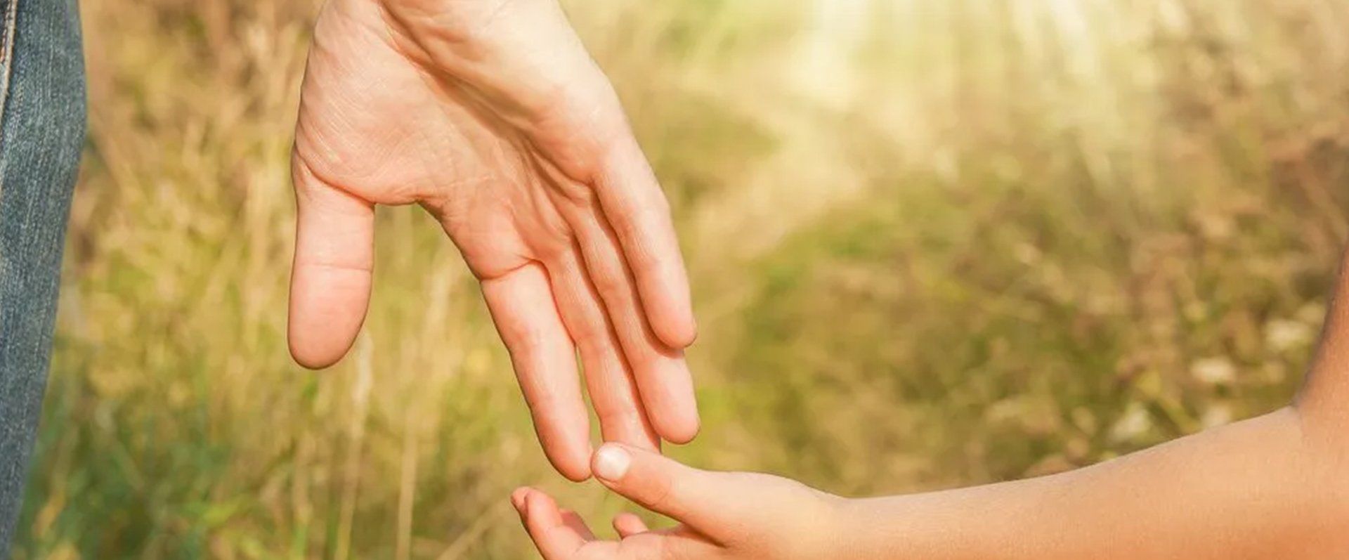 Estate Planning Law Firm - Doane and Doane PA - West Palm Beach