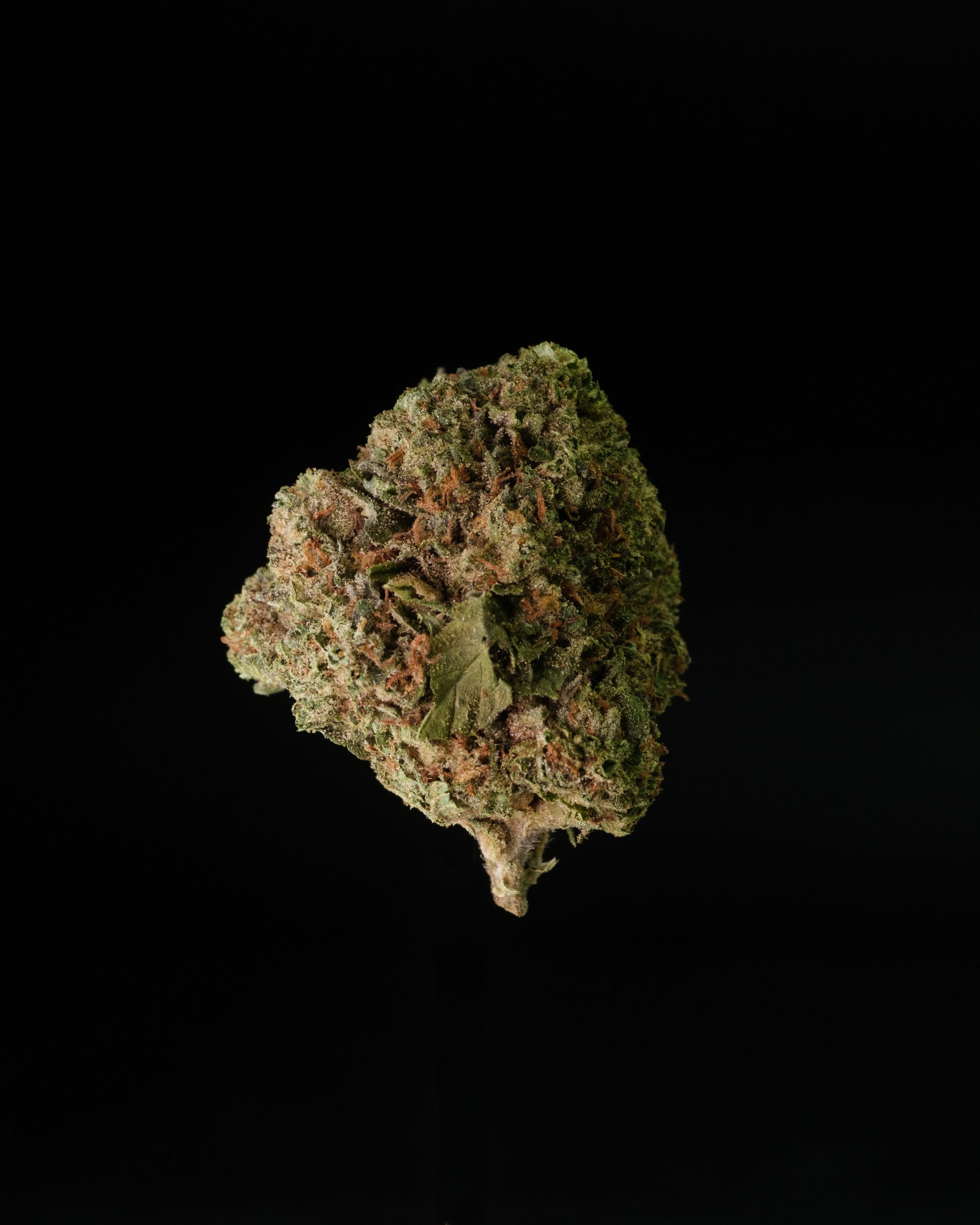 Peach Crescendo, Melonade, Cereal Milk, Candy Rain, Mint Chocolate Chip, Love Affair, Tropicana Cookies, Zkittlez, Wedding Crasher, Apple Fritter, Forbidden Fruit, Gelato 41, Ice Cream Cake, Runtz, MAC 1, Pink Runtz, Mimosa, Banana Punch, Blueberry Muffin, Grape Gas, Slurricane, Tropic Thunder, Strawberry Shortcake, Guava Gelato, Lemon Cherry Gelato, Wedding Cake, Purple Punch, OG Kush Breath, Gelato 33, Biscotti, Gelato 25, Strawberry Cough, Black Cherry Soda, GMO Cookies, Animal Mints, Purple Sunset, 9 Pound Hammer, Sundae Driver, Sunset Sherbet, White Runtz, Banana Kush, Lemonade Haze, Green Crack, Alien OG, Purple Haze, Bruce Banner, OG Kush, Pineapple Express, Platinum Kush, Blue Dream, Cherry Pie, Grape Ape, Trainwreck, and Cactus Breath.