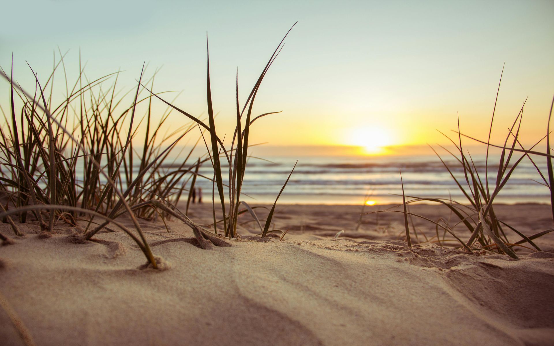 Bij zonsondergang groeit hoog strandgras uit de zandduinen, met uitzicht op de golven aan de horizon.