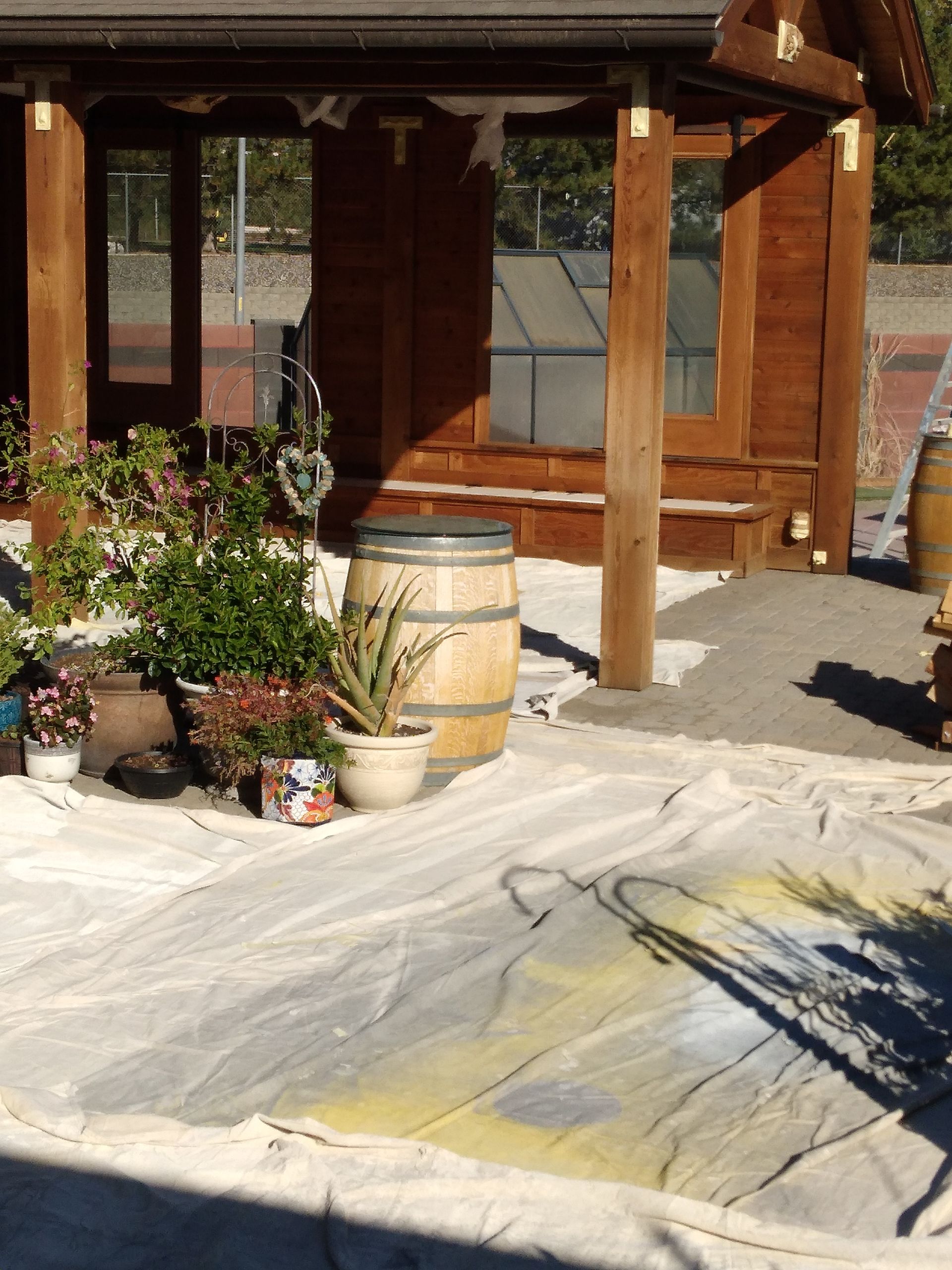 A wooden house with barrels and potted plants in front of it