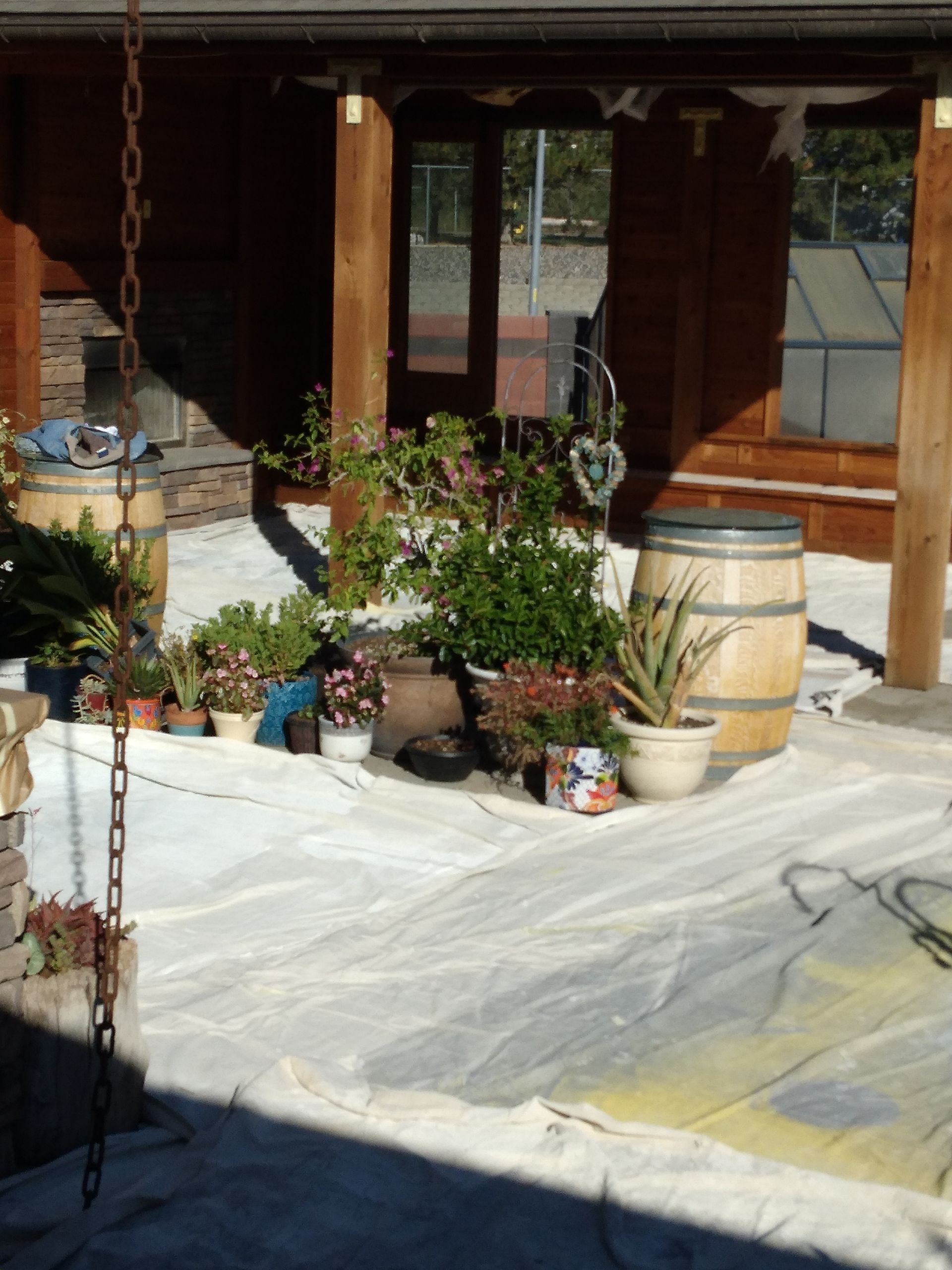 A patio with a lot of potted plants and barrels