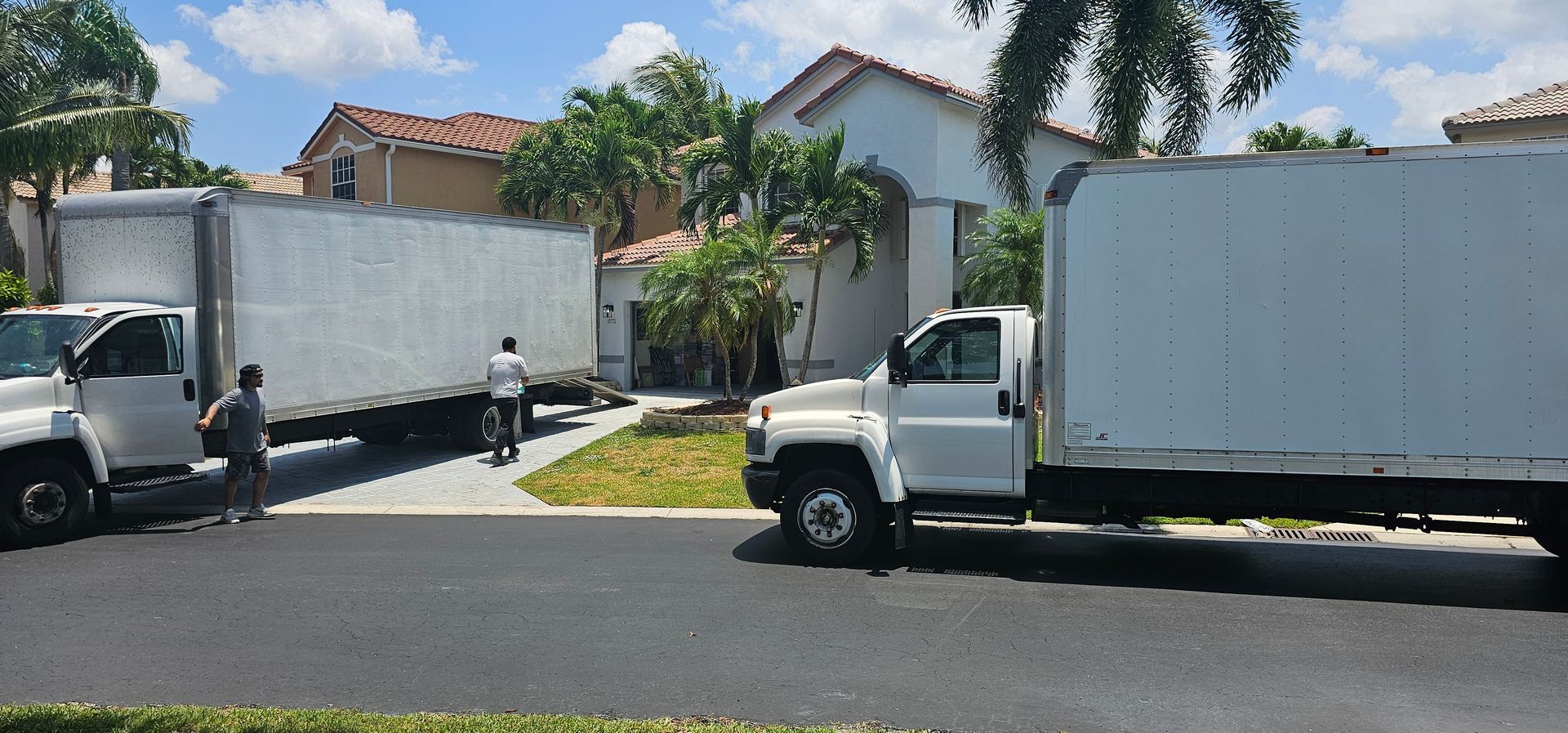 Two white box trucks parked on a residential street in front of houses and a palm tree
