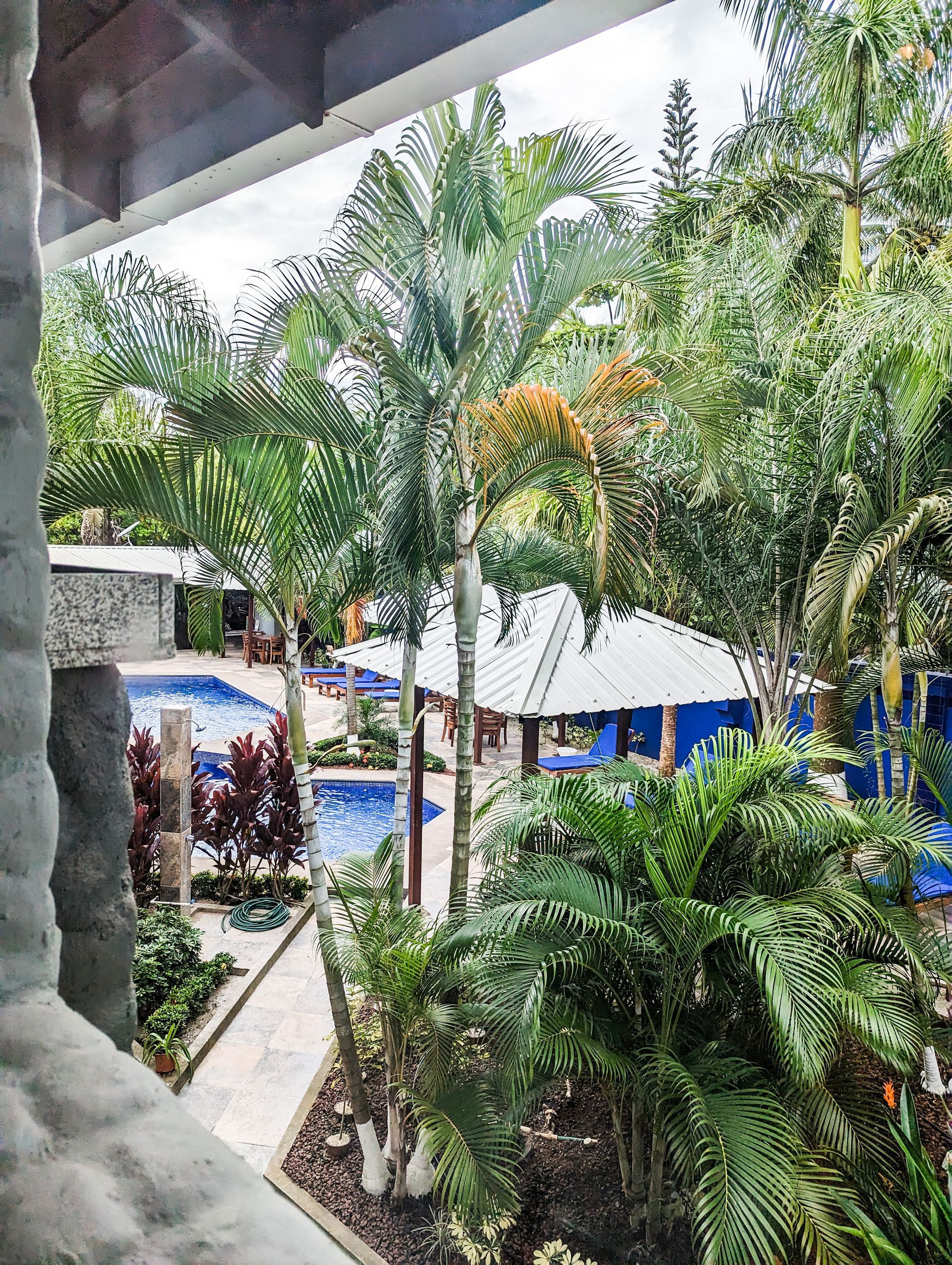 A view of a swimming pool from a balcony surrounded by palm trees.