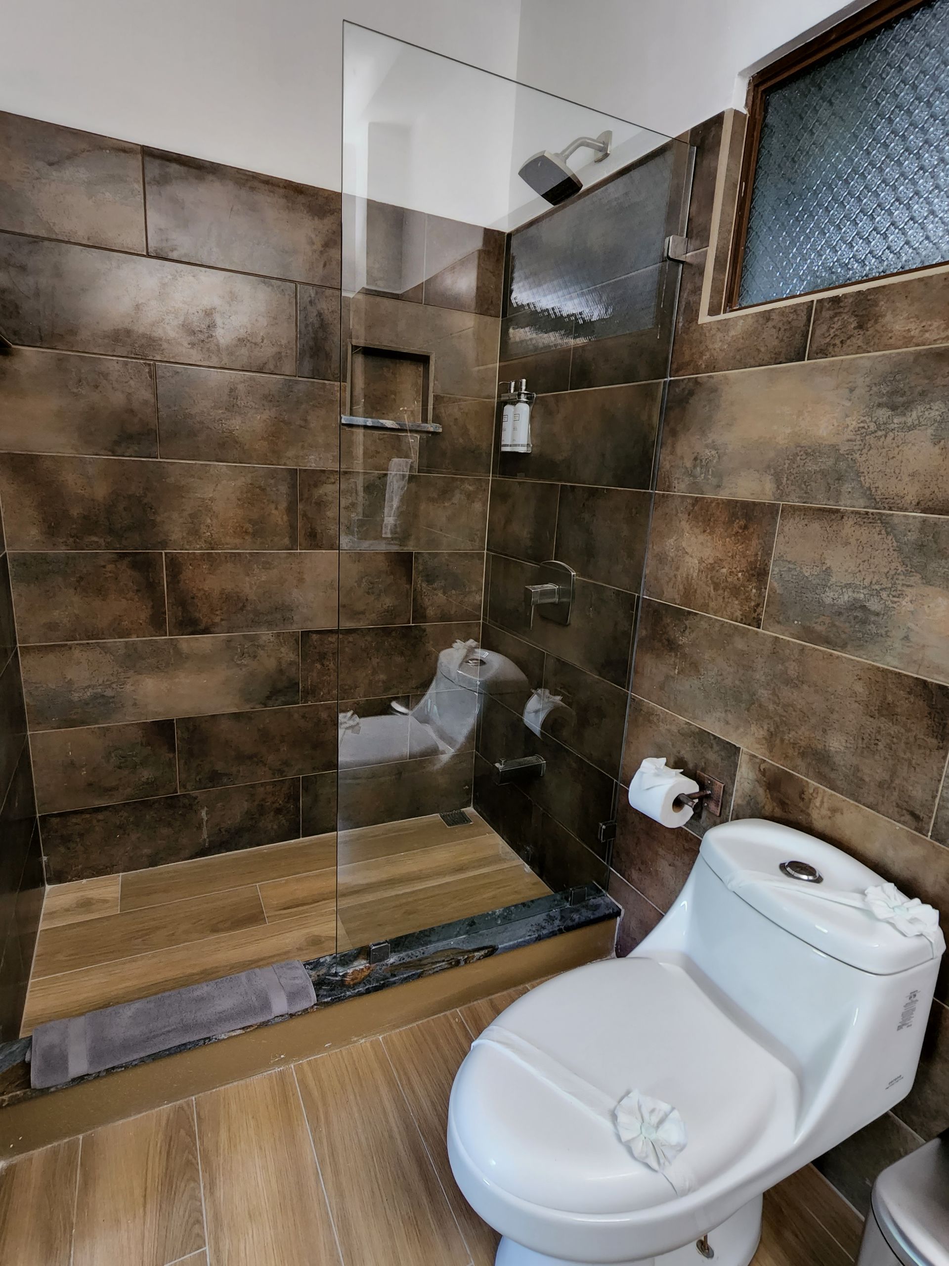 A bathroom with a toilet and a walk in shower