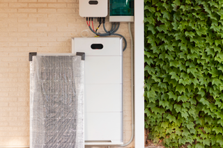 Outdoor wall with electrical equipment beside a vertical green plant wall
