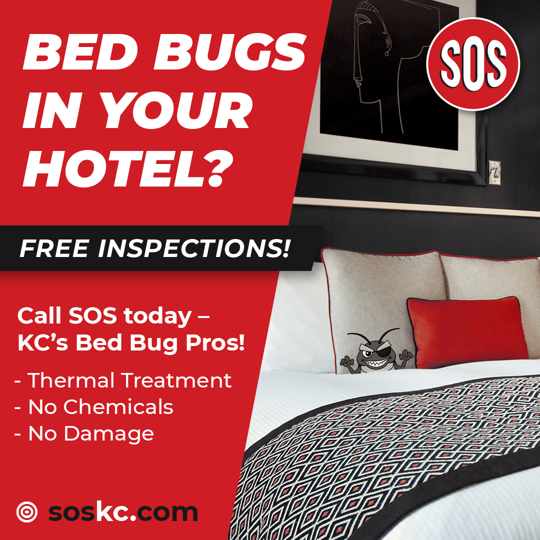 Ad: Bed bug inspection service for hotels. Red background with bed and SOS logo. Offers thermal treatment.