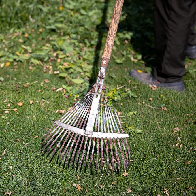 Lawn Care service by Mary had a Little Bucket Solution LLC