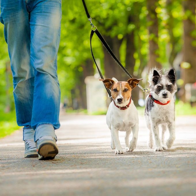 Run Errands and Pet Sitting service by Mary had a Little Bucket Solution LLC