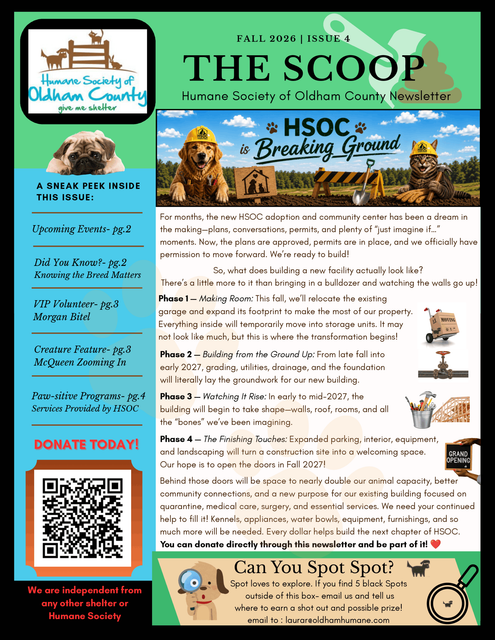 The Scoop Newsletter