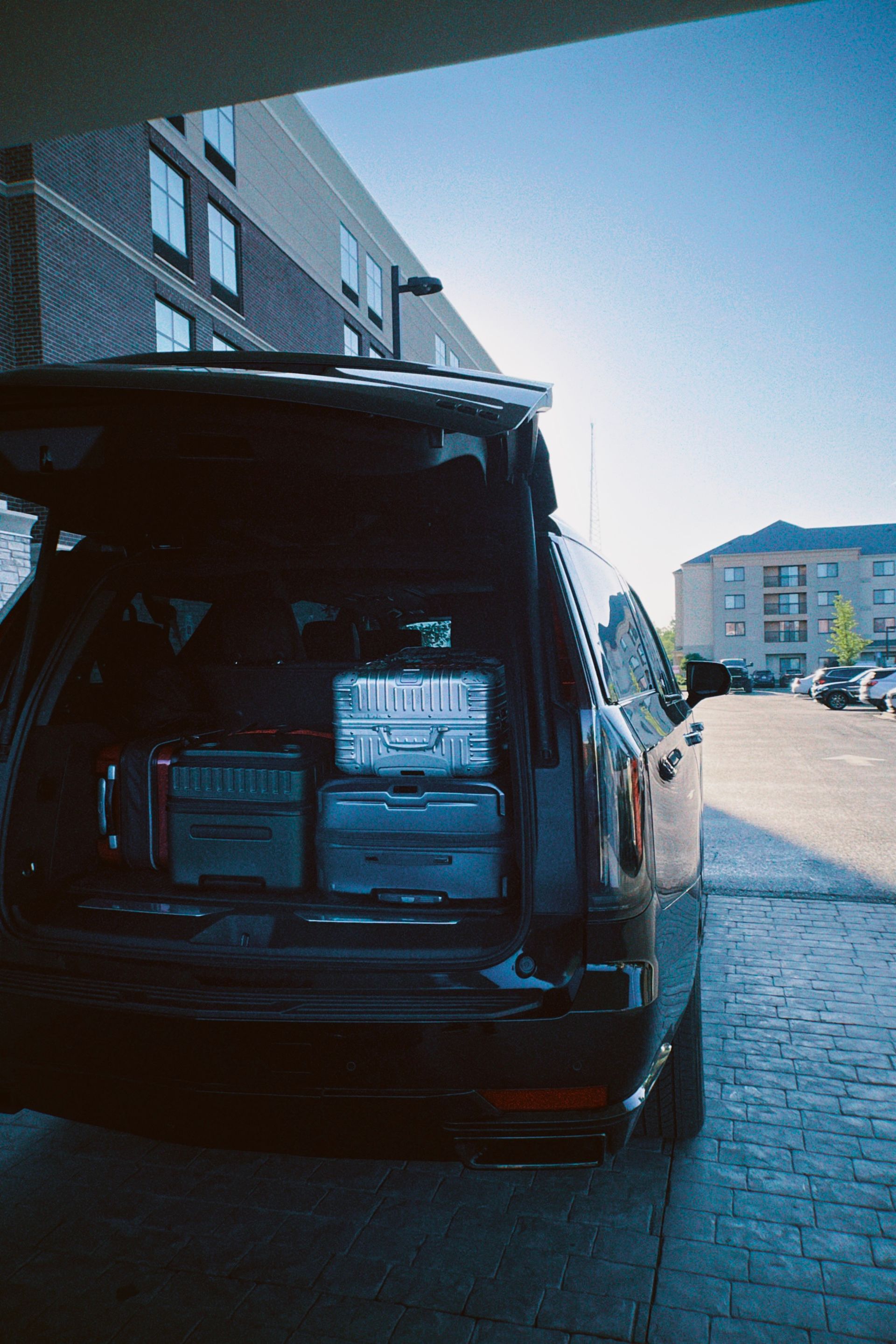 Detroit Black Car & Limo Service CheckMate