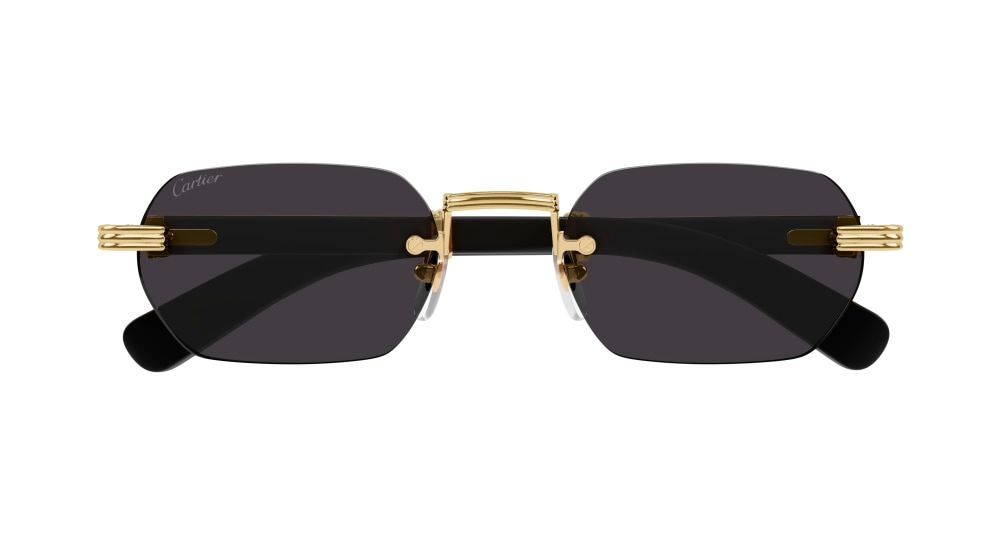 Wood Premiere de Cartier - CT0362S