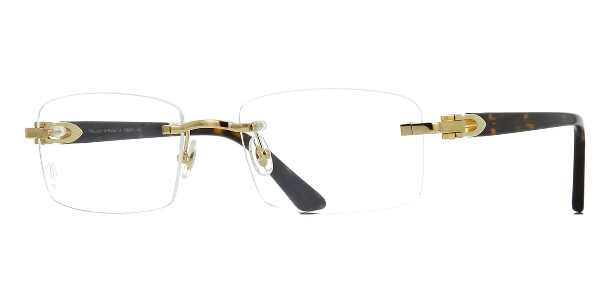 New Model Acetate  - CT0287O