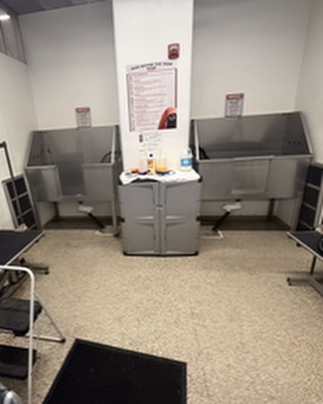 Dog wash station with two stainless steel tubs, supplies on a cabinet, and grooming tables.