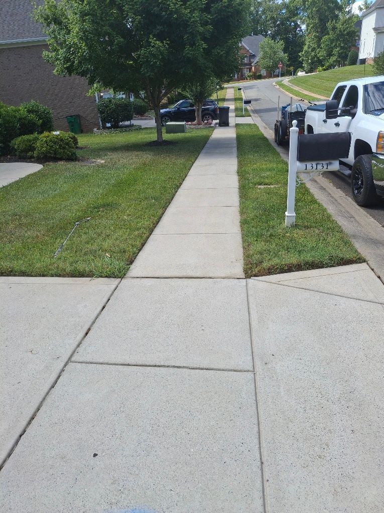 roof cleaning near me