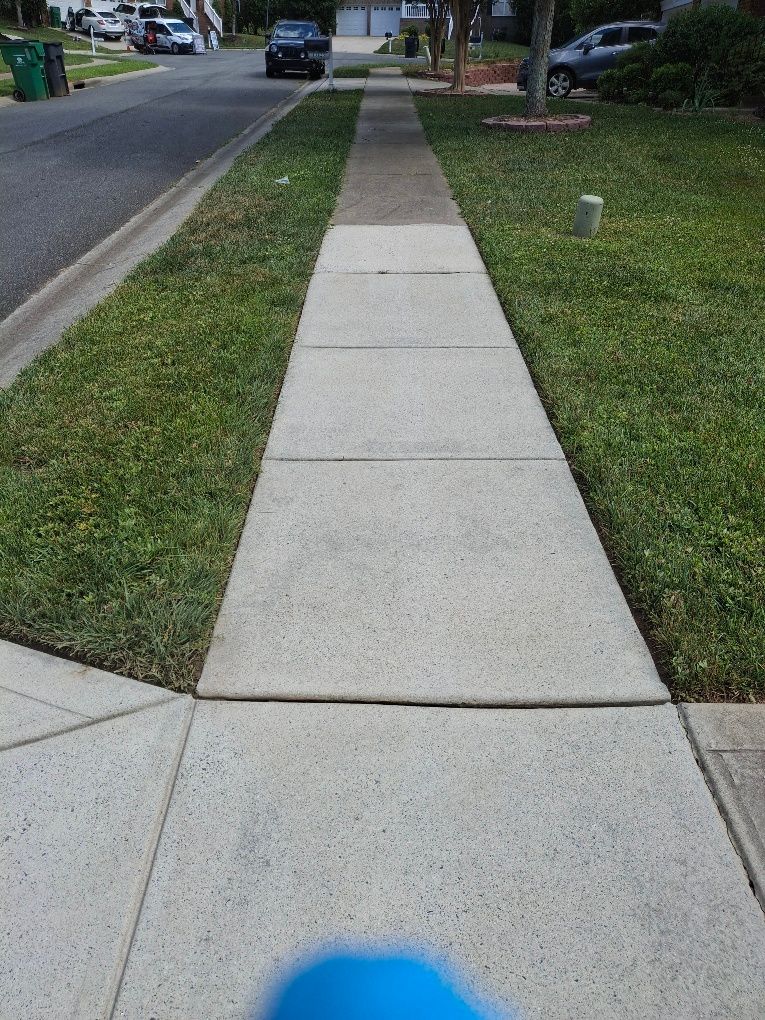 roof cleaning near me