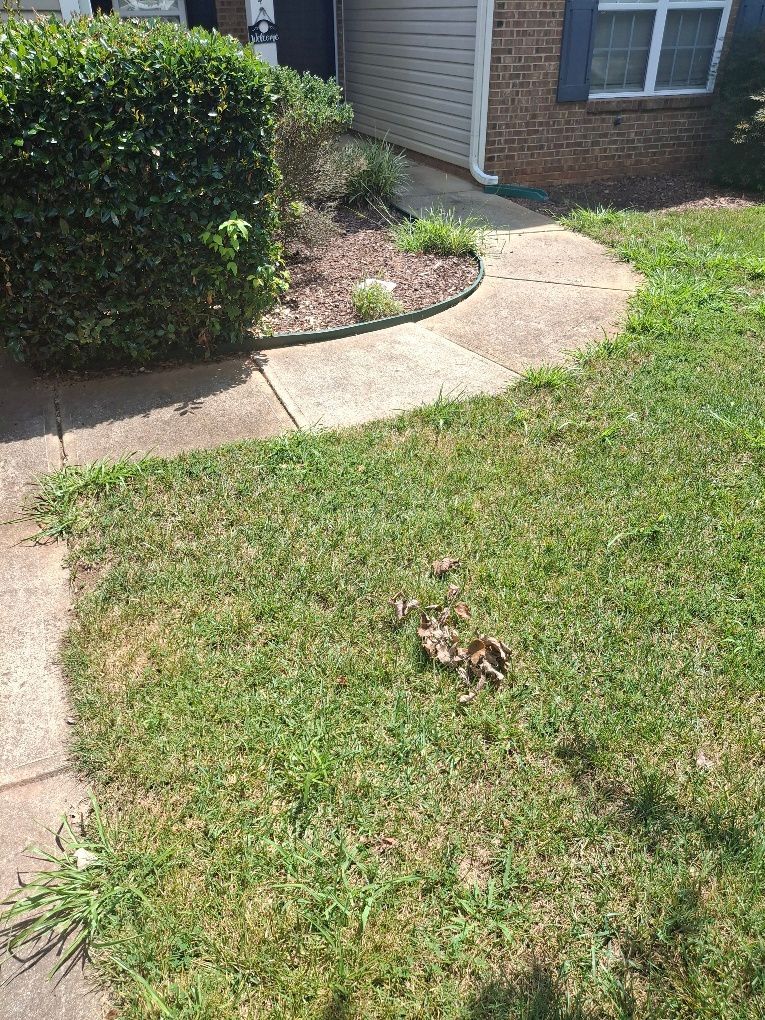 roof cleaning charlotte nc