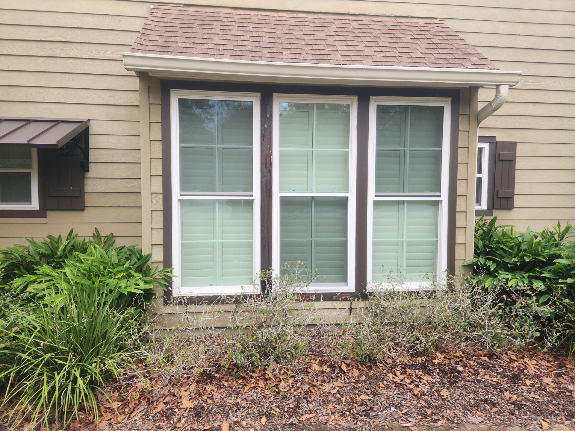 House exterior with three white-framed windows, beige siding, and bushes in front