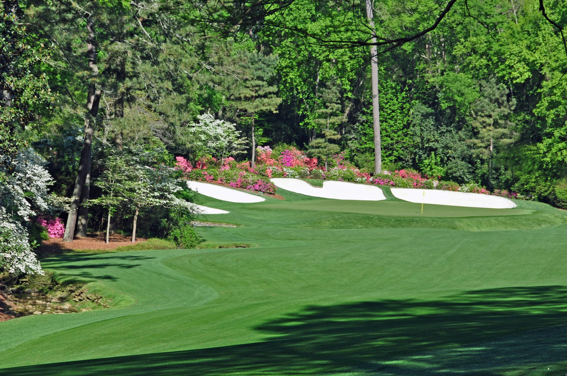 10 Things you Didn't Know About the Masters