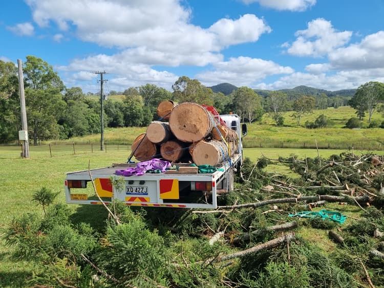 Wood Logs on a Crane Truck — Trailer Hire Near Me in Long Flat, QLD