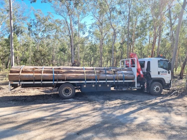 Wooden Logs Transported — Trailer Hire Near Me in Sunshine Coast, QLD