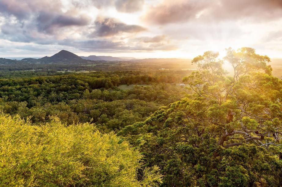 An Aerial View of a Lush Green Forest With Mountains in the Background at Sunset — BS Crane Truck and Trailer Hire In Tewantin, QLD