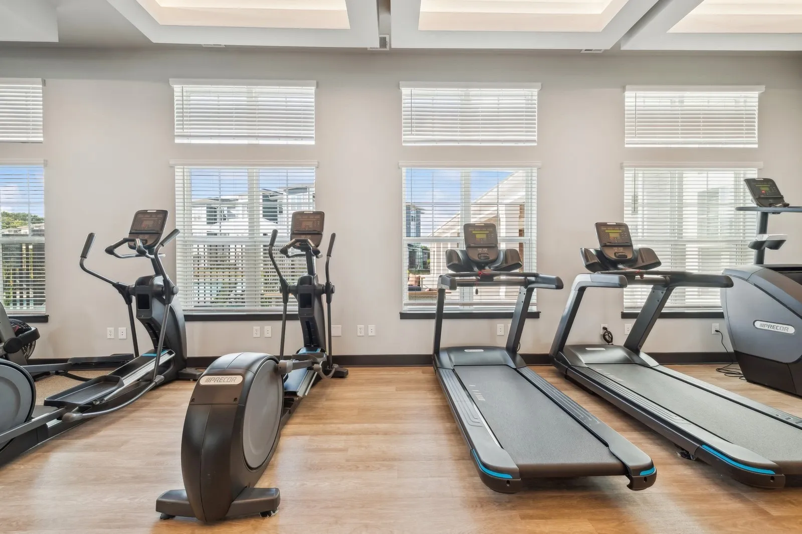 Cardio fitness center with treadmills and ellipticals by large windows.