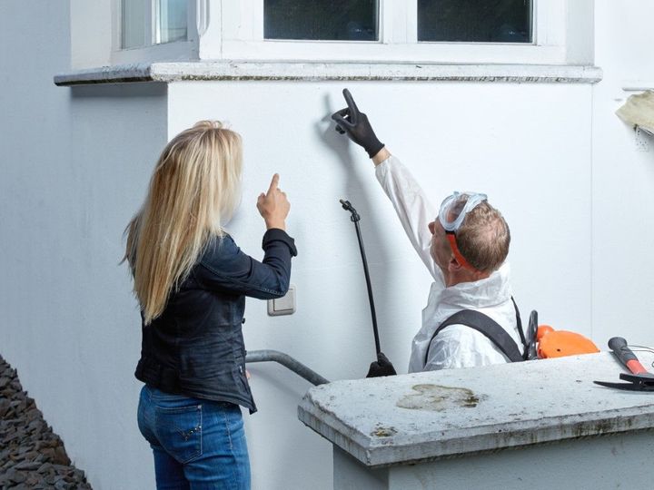 Two workers pointing at a house wall during exterior repairs