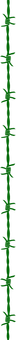 div