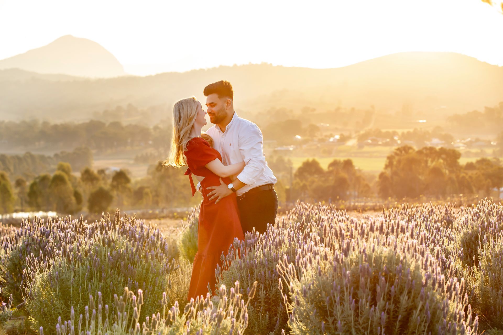 Couple embracing in a lavender field at sunset, bathed in golden light, with mountains in the background.