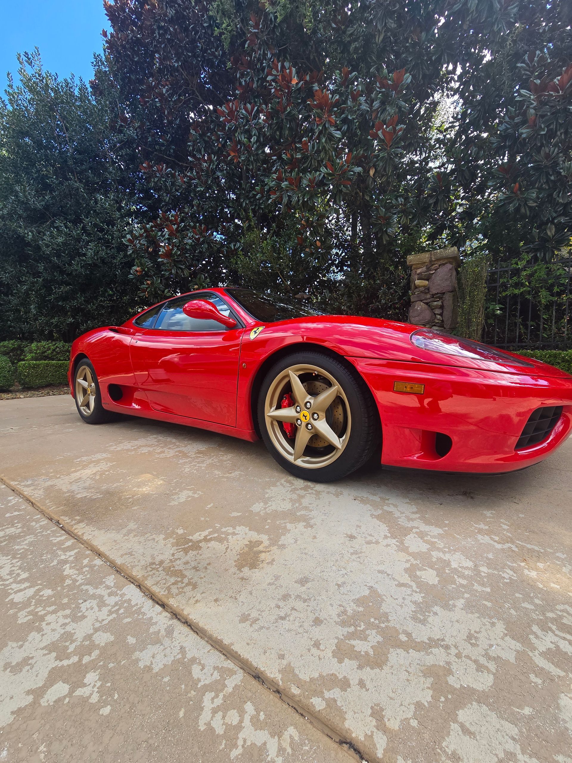 A bright red Ferrari convertible with gold wheels parked on a concrete driveway in front of a leafy green tree.
