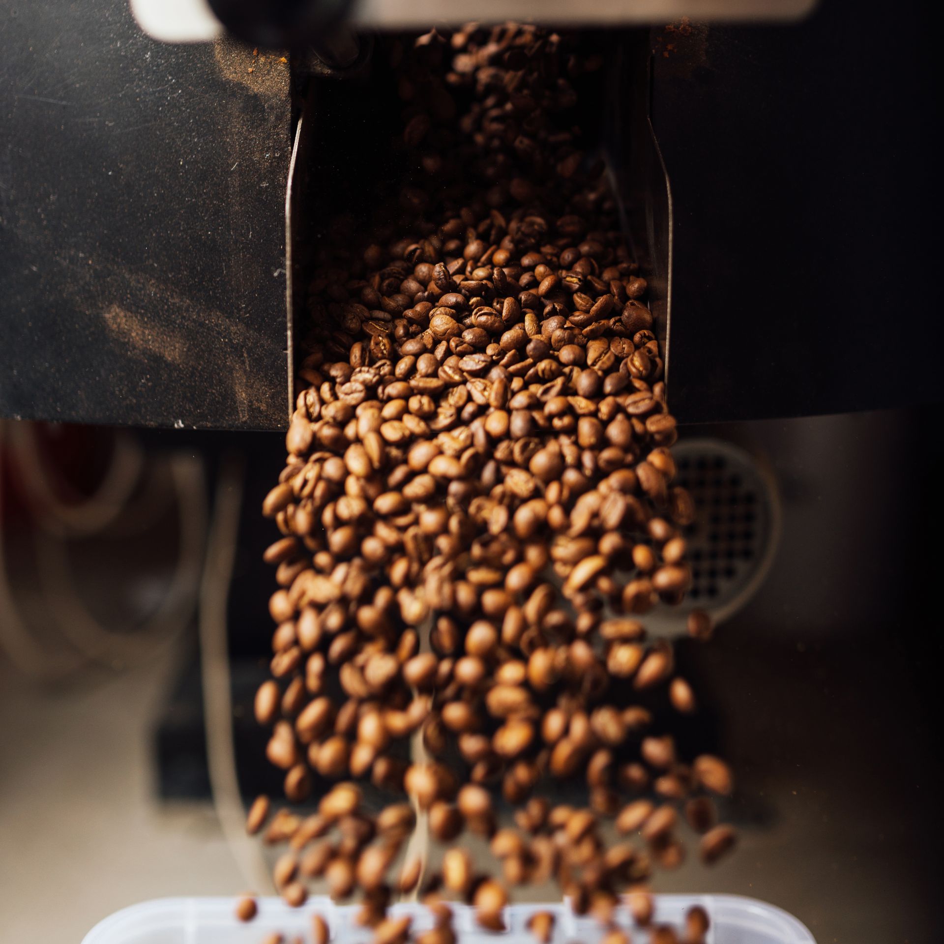 Roasted coffee beans