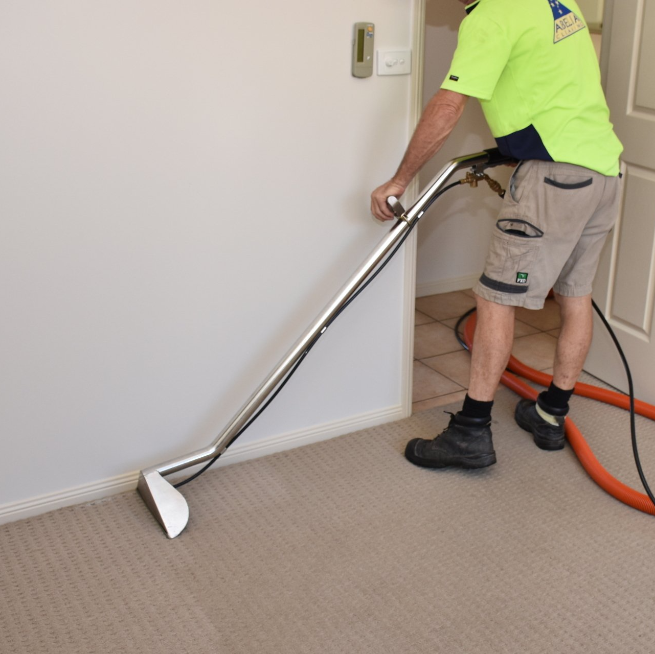Carpet Cleaning Cairns, QLD Abelia Cleaning