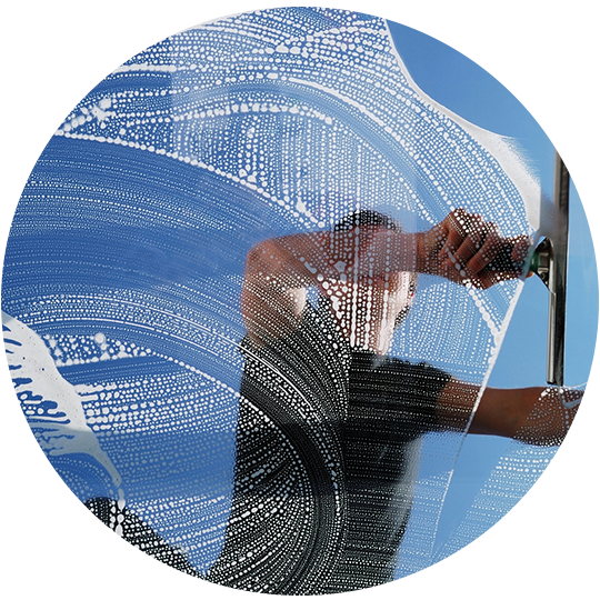 Domestic Window Cleaning — Cairns, QLD — Abelia Cleaning