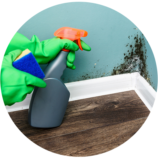 Residential Window Cleaning — Cairns, QLD — Abelia Cleaning Residential Window Cleaning — Cairns, QLD — Abelia Cleaning