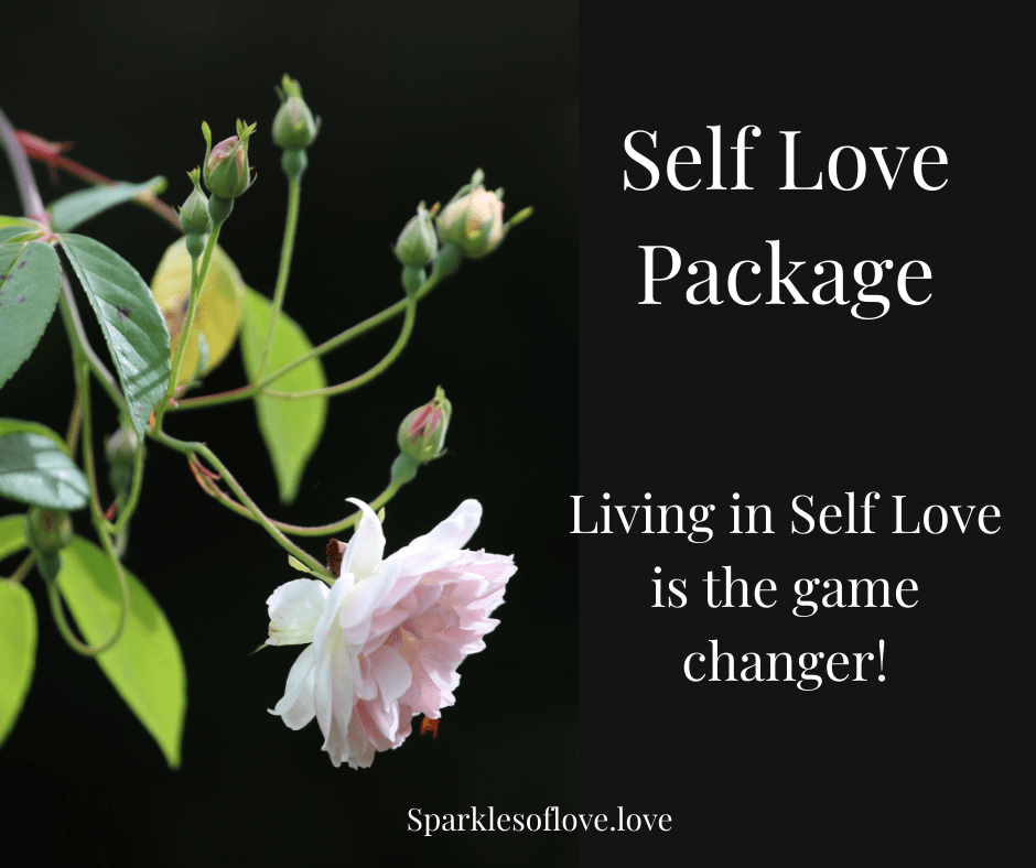 Pink flower and green buds beside text: “Self Love Package” and “Living in Self Love is game changer.”