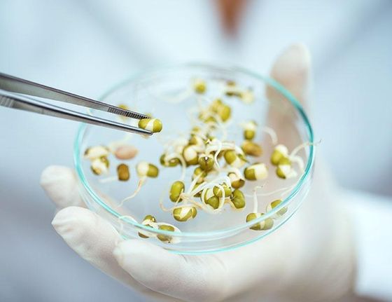 ERSA - Análisis de productos agrícolas