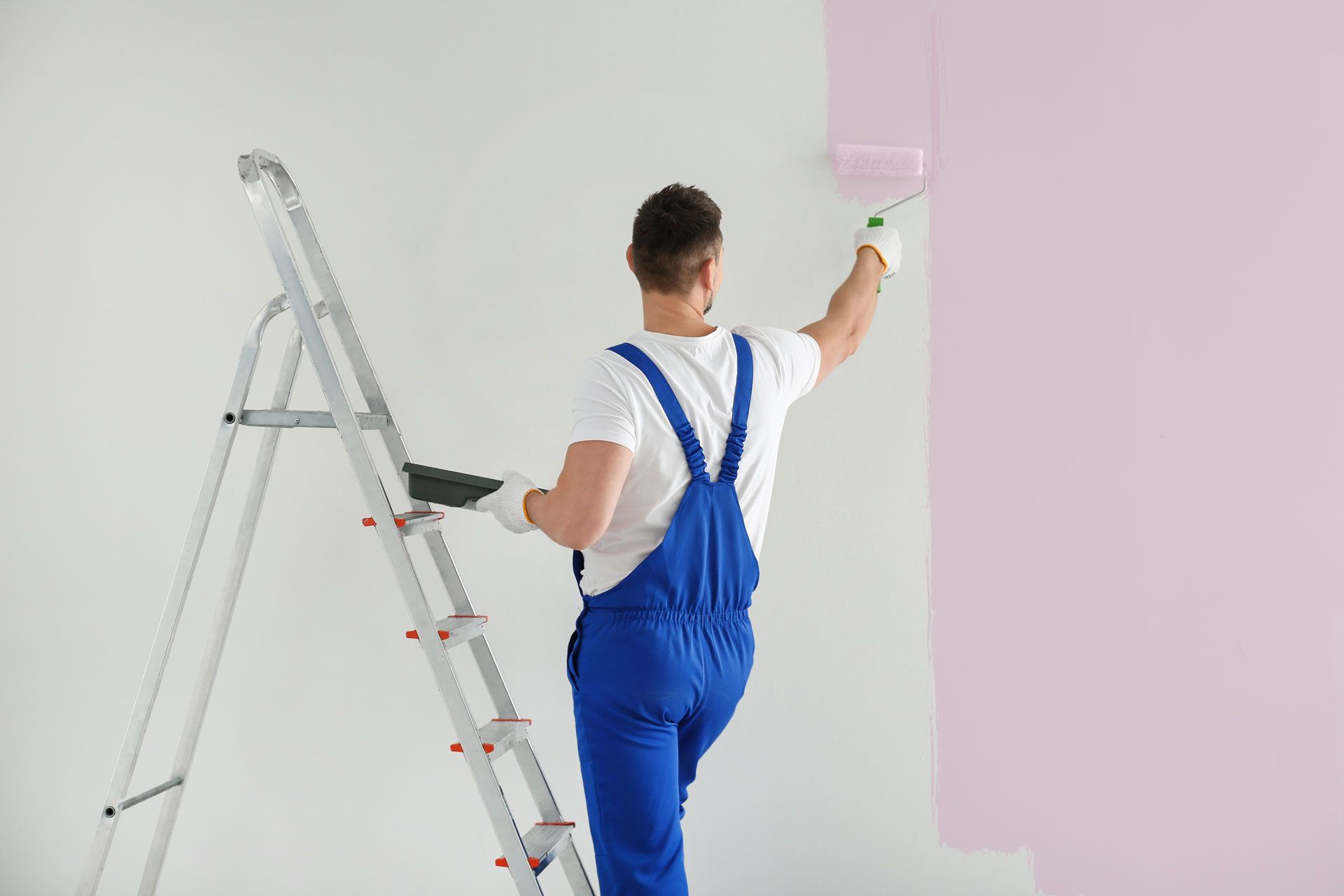 Person painting a wall pink beside a ladder, with blue overalls and a paint roller