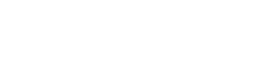 logo-image