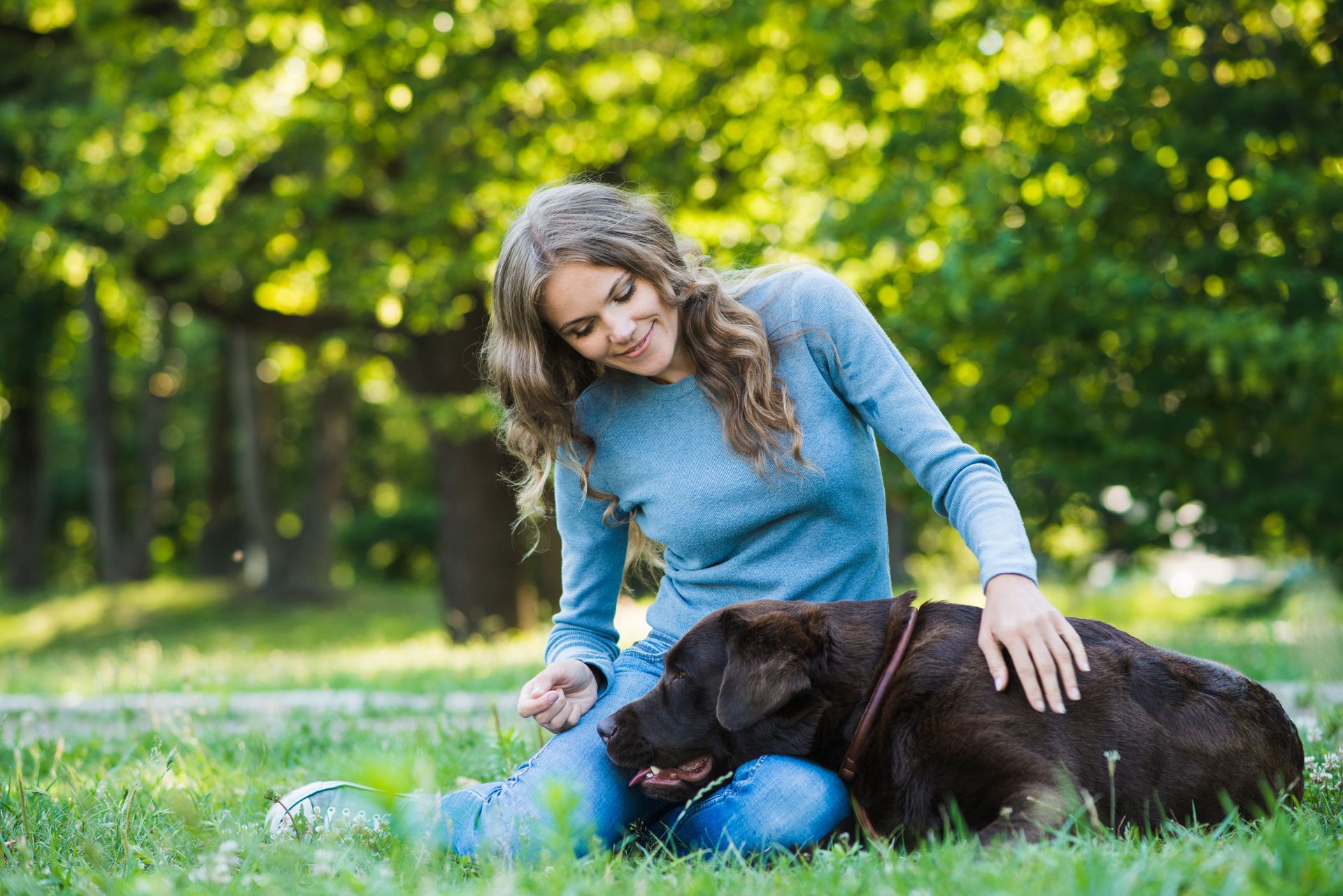 Mon chien aboie beaucoup, que faire - Robin educateur canin