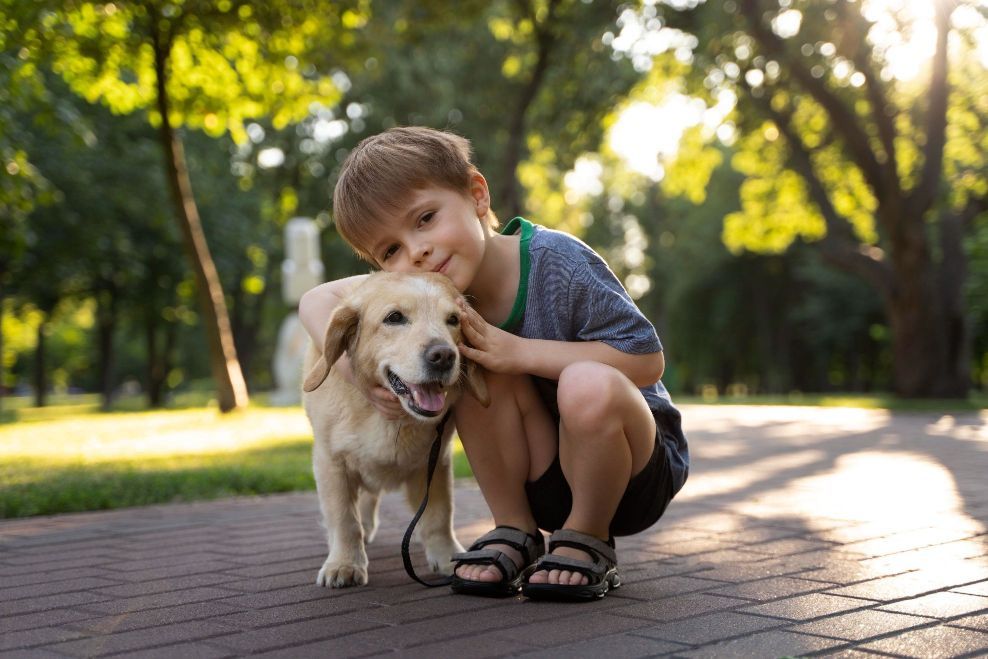 Mon chien aboie sans cesse : que faire ?