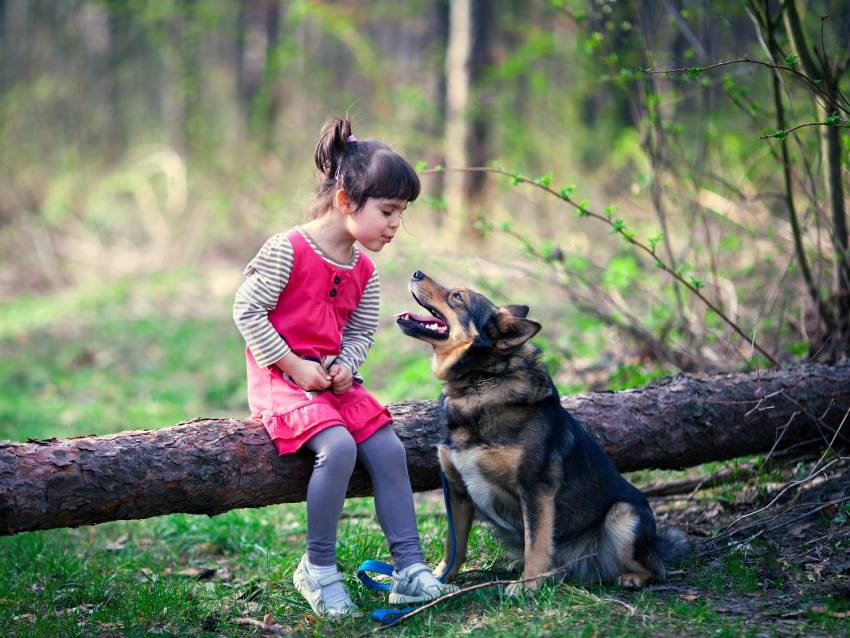 Faire un travail de sociabilisation